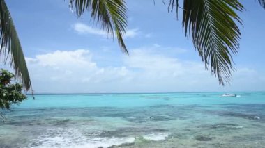 Palm leaves sway on tropical beach with a turquoise-water lagoon in Isla Mujeres Mexico