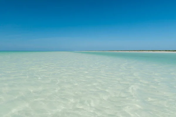 stock image Slightly bordered panoramic bird's eye view of tropical lagoon with clear water at low tide on Holbox Island in Mexico