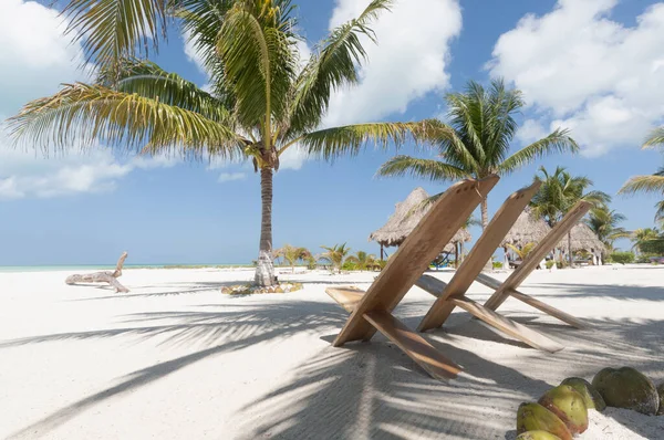 Рушійні Стільці Білому Піщаному Пляжі Тропіках Пальмами Синьому Небі Holbox — стокове фото