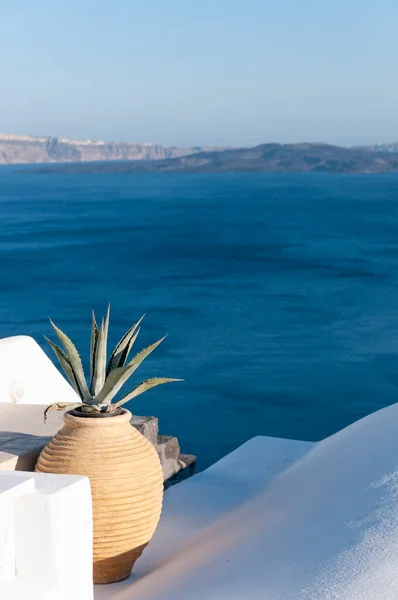 Arformad Vinhud Med Agaveplanta Terrass Med Panoramautsikt Över Caldera Santorini — Stockfoto