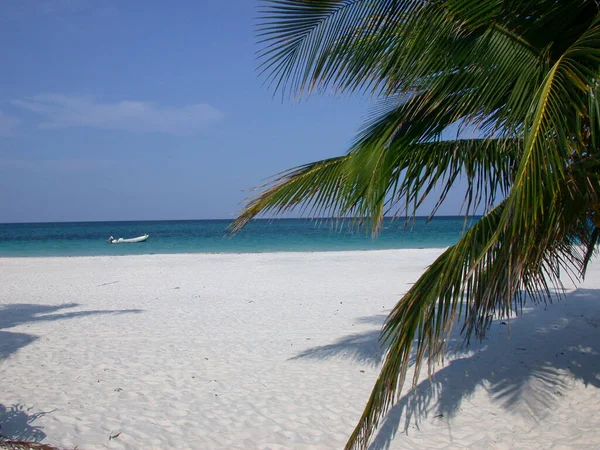 Релаксація Тропічних Пляжів Білим Піском Кришталево Чистим Морем Пальмами Тулум — стокове фото