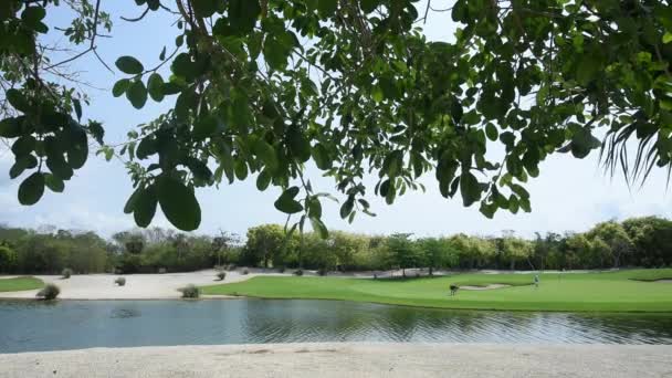 墨西哥热带地区高尔夫球场的录像 茂密的树叶和人工湖 果岭上的两名选手为小鸟射门 — 图库视频影像