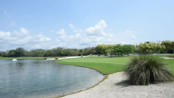 在一个阳光灿烂的日子里 在墨西哥的一个小湖畔 一个壮观的高尔夫球场被树木和蓝天环绕 在宁静与自然的绿洲中打高尔夫 — 图库视频影像