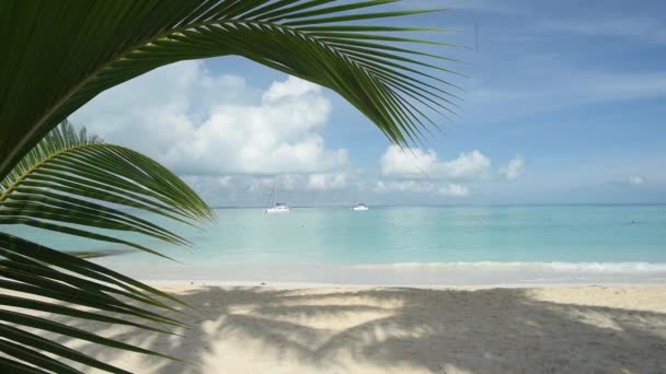 Ucieczka Opuszczoną Tropikalną Plażę Isla Mujeres Meksyku Błyszczącym Morzem Karaibskim — Wideo stockowe