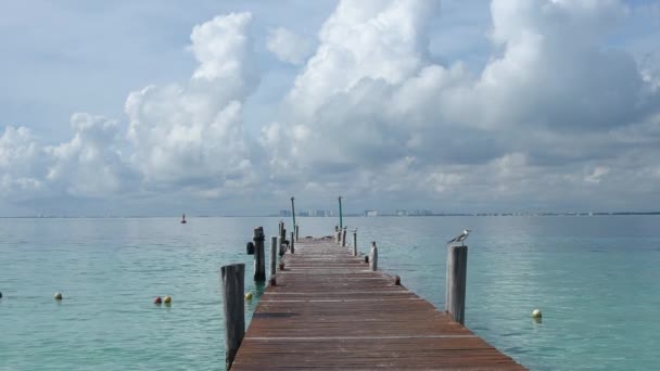 落ち着いたカリブ海に広がる木製の桟橋のHd映像は 桟橋に座り 地平線に部分的に曇った空に覆われています 夏をテーマにしたプロジェクトに最適 — ストック動画