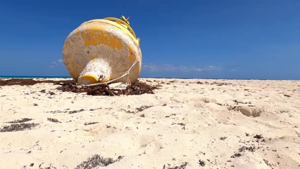 青い空に対して晴れた夏の日にメキシコの熱帯のビーチで黄色の海ブイのHd映像 — ストック動画