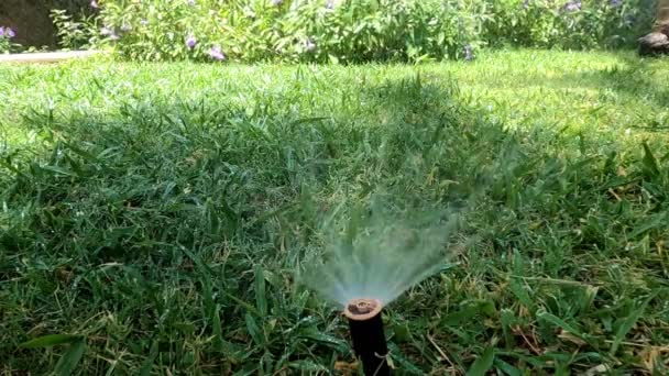 Otomatik Bahçe Çim Sulama Sisteminin Görüntüleri Yüksek Basınçlı Başlığın Ayrıntılı — Stok video