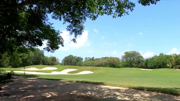 在阳光灿烂的日子里 墨西哥的高尔夫球场被树木和热带植物环绕着 Pam拍摄的是一个有掩体的高尔夫球场 与自然接触的度假和体育概念 — 图库视频影像