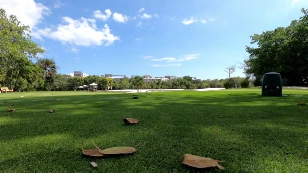 4K名高尔夫球手在比赛开始前的练习场上练习 在墨西哥的背景树和周围的建筑物里 时间过得很慢 — 图库视频影像