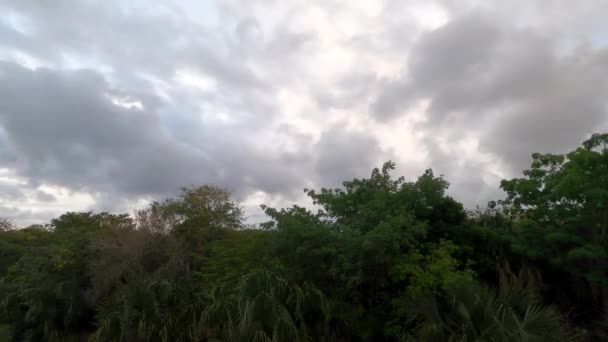 Meksika Daki Tropikal Ormanın Yukarısından Esen Rüzgarın Dramatik Bulutların Hızlandırılmış — Stok video