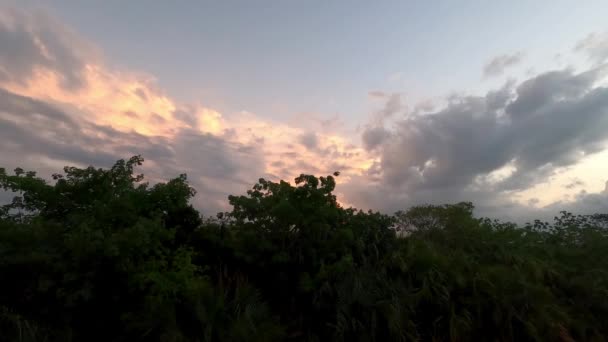 墨西哥落日时分热带森林中树木上方的风云的时差记录 — 图库视频影像