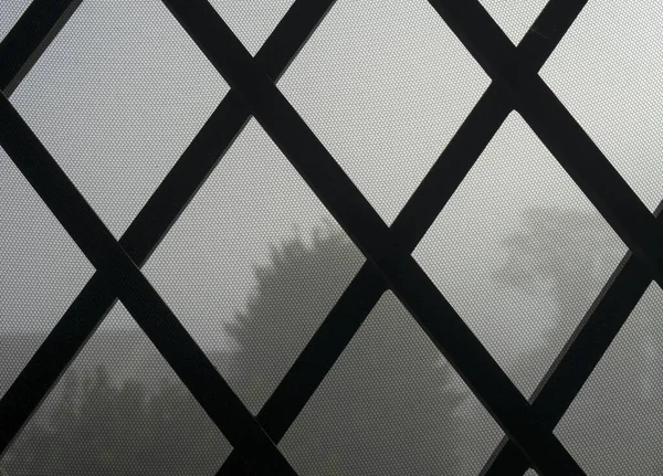 Sivrisinek ağı ve demir ızgarası olan bir pencerenin ayrıntıları, arka planda İtalya 'da bir sonbahar gününde ağaçlardaki sabah sisi.