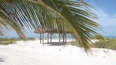 Egzotik bir adadaki tropik bir plajda rüzgarın savurduğu hindistan cevizi palmiyesi yaprağının HD videosu. Arka planda bir kır kulübesi ve Karayip Denizi. Holbox Adası Meksika