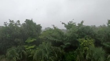 Issız bir plajı ve yumuşak beyaz kumları olan tropikal bir adanın HD videosu. Yumuşak turkuaz dalgalar, Meksika 'da tatil ve rahatlama için ideal bir hedef olan ritmik olarak çarpar.