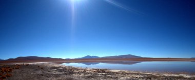 Güney Bolivya 'daki Altiplano' da yüksek irtifa manzarasının canlı, berrak ve katıksız güzelliği.