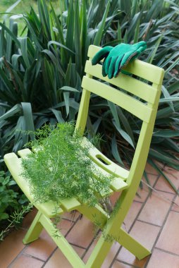 Terasta duran yeşil bir sandalyeye yerleştirilmiş yaprak ve bahçe eldivenleri. Arka planda Yucca bitkileri.