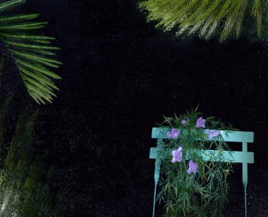 Text copy space with water drops texture surrounded by palm leaves and a chair covered with an exotic plant. 