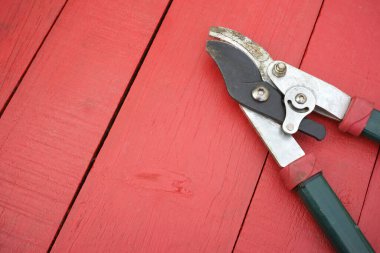 Lopper secateur budama aleti kırmızı boyalı ahşap bir masa üzerinde. Yakın plan. Boşluğu kopyala.