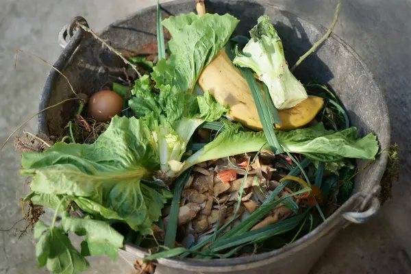 stock image Potato and banana peels, eggshells, lettuce leaves, broccoli stem and other food waste thrown into a metal bucket. Biodegradable, compostable.