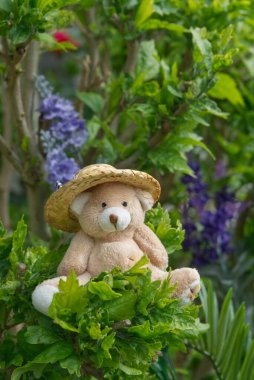 Hasır şapka takan bir oyuncak ayı çalıların arasında oturuyor. Arka planda bitki örtüsü ve çiçekler.