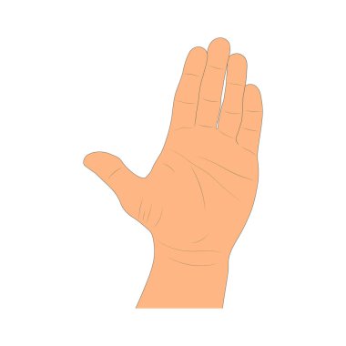 Beyaz arka planda izole edilmiş karikatür insan kolu çizimi. Avuç içi çizilmiş. Sanat biçimi - vektör illüstrasyonu.