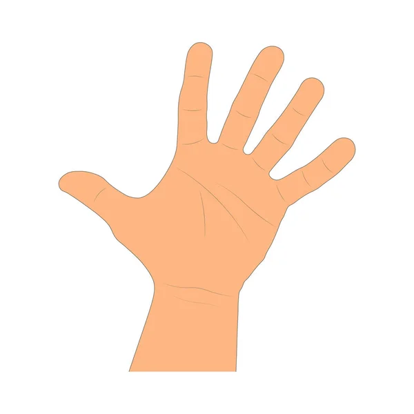 Drawing Cartoon Human Arm Isolated White Background Drawn Hand Palm — 스톡 벡터