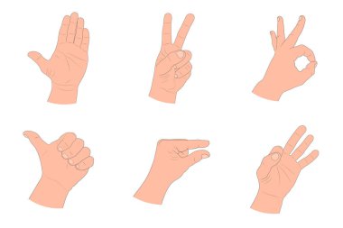 Bir dizi çizilmiş el hareketi. İnsan kolları ana hatlarıyla. İzole çizgi film çizimleri. Vektör illüstrasyonu.