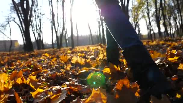 秋に黄色い葉をジョギングする若い女性の足 落ちたメープルの葉の上を走るブーツの女性の足は公園で バックグラウンドで太陽光に対して公園で楽しんでいる女の子 スローマウント — ストック動画