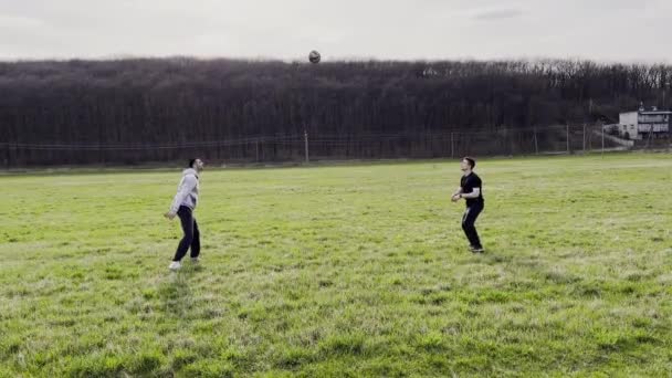 在乡间绿地打排球的年轻人 雄性在草地上互相传递球 男人们在大自然中消磨时光 户外业余游戏 美丽的背景景观 — 图库视频影像