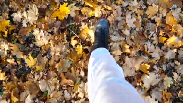 从雄性脚踏在落下来的枫叶上的观点来看 穿着运动鞋的年轻人的腿在秋天的森林里长着黄色的叶子 在野外行走的家伙 慢动作 — 图库视频影像