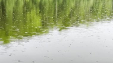 Sakin bir orman gölü ya da nehre yaz yağmuru. Yeşil göletin yüzeyine düşen küçük yağmur damlaları. Huzur sahnesi kavramı. Yavaşça kapat.
