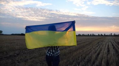 Ukraynalı kadın gün doğumunda ulusal mavi-sarı pankartıyla arpa çayırında yürüyor. Gün batımında başındaki buğday tarlasında Ukrayna bayrağını taşıyan bir kadın. Rus saldırısına karşı zafer