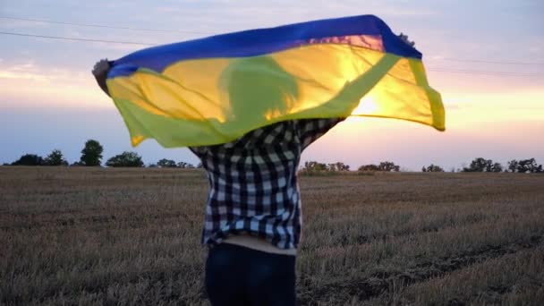 Arpa Çayırında Ulusal Mavi Sarı Pankartıyla Koşan Ukraynalı Kadın Arka — Stok video
