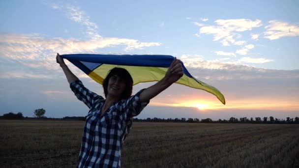 행복한 여자는 일몰에 파란색 노란색 배너를 필드에 카메라를 우크라이나어 숙녀는 — 비디오