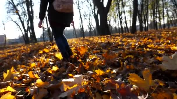 Piernas Mujer Joven Corriendo Sobre Follaje Amarillo Otoño Pies Femeninos — Vídeo de stock