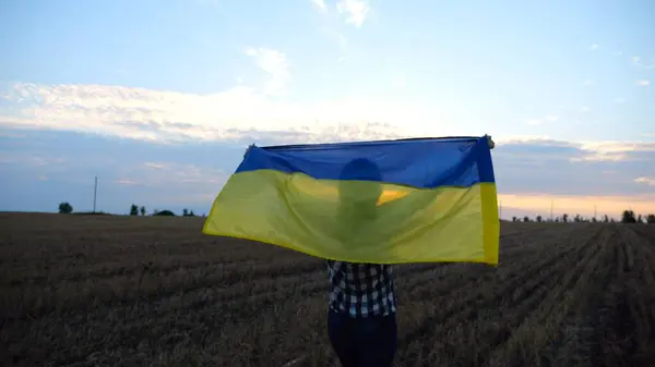 Українська Леді Ходить Ячмінному Лузі Піднятим Над Головою Синьо Жовтим — стокове фото