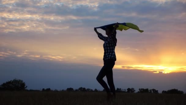 快乐的女士走在大麦草地上 转过头去 头顶升起了乌克兰国旗 在美丽的夕阳西下 乌克兰女人高举蓝黄色的横幅 结束战争的概念 — 图库视频影像