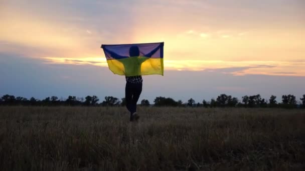 아름다운 일몰의 배경에 필드에 우크라이나의 깃발을 우크라이나 러시아 침략에 승리의 — 비디오