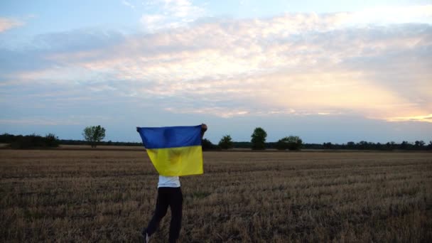 Homem Ucraniano Caminhando Prado Cevada Com Bandeira Nacional Levantada Sobre — Vídeo de Stock