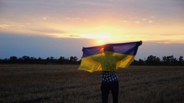 Arpa çayırında yürüyüp Ukrayna bayrağını dalgalandıran mutlu bir kadın. Arka planda güzel bir günbatımında mavi-sarı pankartıyla Ukraynalı bir kadın. Savaşın sonu.