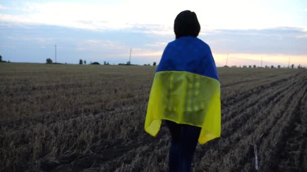 Mulher Ucraniana Andando Prado Cevada Com Uma Bandeira Azul Amarela — Vídeo de Stock