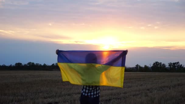 黎明时分 乌克兰女士举着全国蓝黄色的旗帜在大麦草地上散步 日落时 女人头顶升起的乌克兰国旗在麦田上飘扬 战胜俄罗斯侵略的胜利 — 图库视频影像