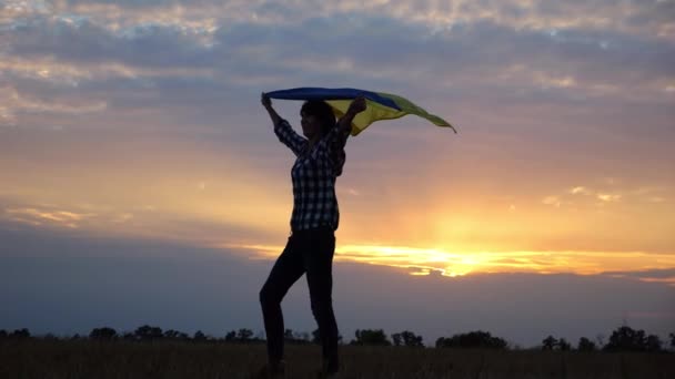 Silhueta Mulher Que Vai Com Bandeira Levantada Ucrânia Acima Cabeça — Vídeo de Stock