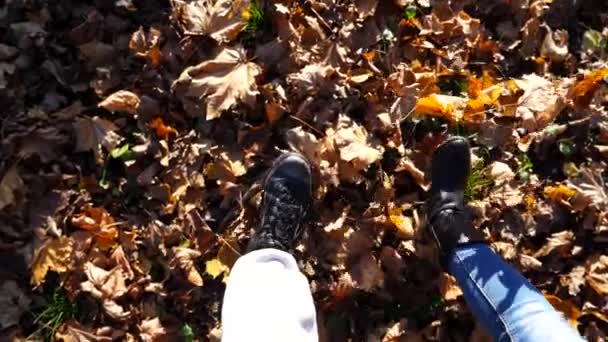Point View Young Couple Stepping Together Maple Leaves Forest Male — Stock Video