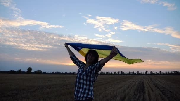 Boldog Néz Kamerába Áll Búzamezőn Egy Emelt Kék Sárga Zászlóval — Stock videók