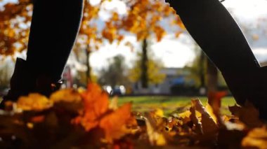 Parkland 'da düşen akçaağaç yapraklarına basan çizmeli bir kadın. Parkta sarı yapraklara basan genç kadın bacakları. Sonbaharda gün batımında Parkland 'da yürüyen bir kız. Yavaşla.