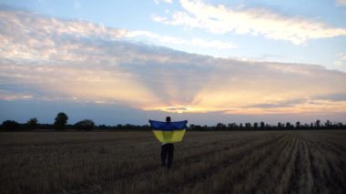 Gün doğumunda arpa çayırında ulusal mavi-sarı pankartıyla yürüyen genç adam. Ukraynalı adam Ukrayna bayrağını günbatımında buğday tarlasında dalgalandırıyor. Rus saldırısına karşı zafer