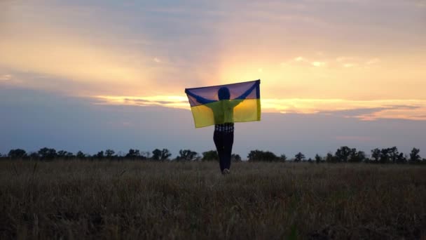 아름다운 일몰의 배경에 필드에 우크라이나의 깃발을 우크라이나 러시아 침략에 승리의 — 비디오
