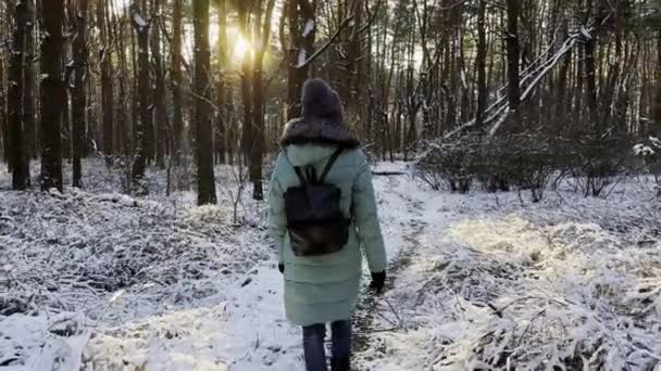 Následujte Mladou Ženu Kráčející Stezce Slunném Zasněženém Lese Dívka Batohem — Stock video