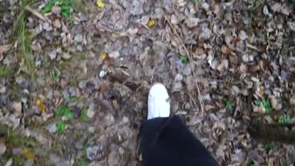 スニーカーで男性の足にビューのポイントは パスの屋外に沿って歩いてください 乾燥した落ち葉の上をトレイルに沿って行く若い男の足 秋に野生の自然を歩く男 スローモ — ストック動画